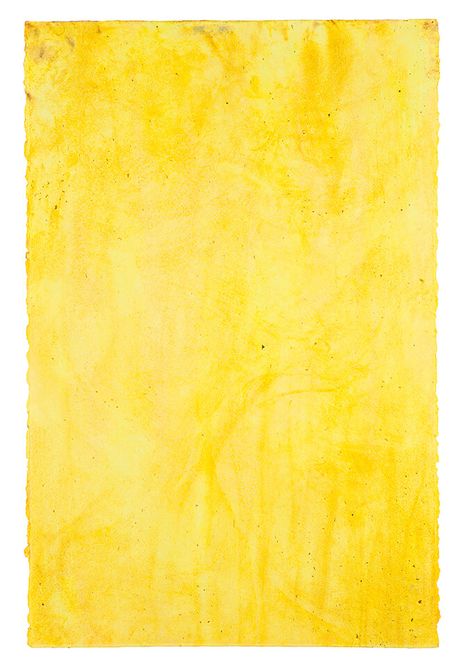 curcuma papel 09.jpg